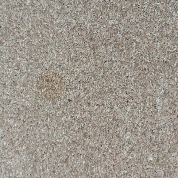 Vtg Set of Four Floral Placemat Cork Backed - Picture 6 of 8